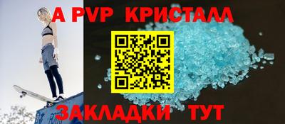 jwh Кингисепп