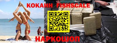 jwh Кингисепп