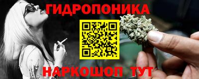 jwh Кингисепп