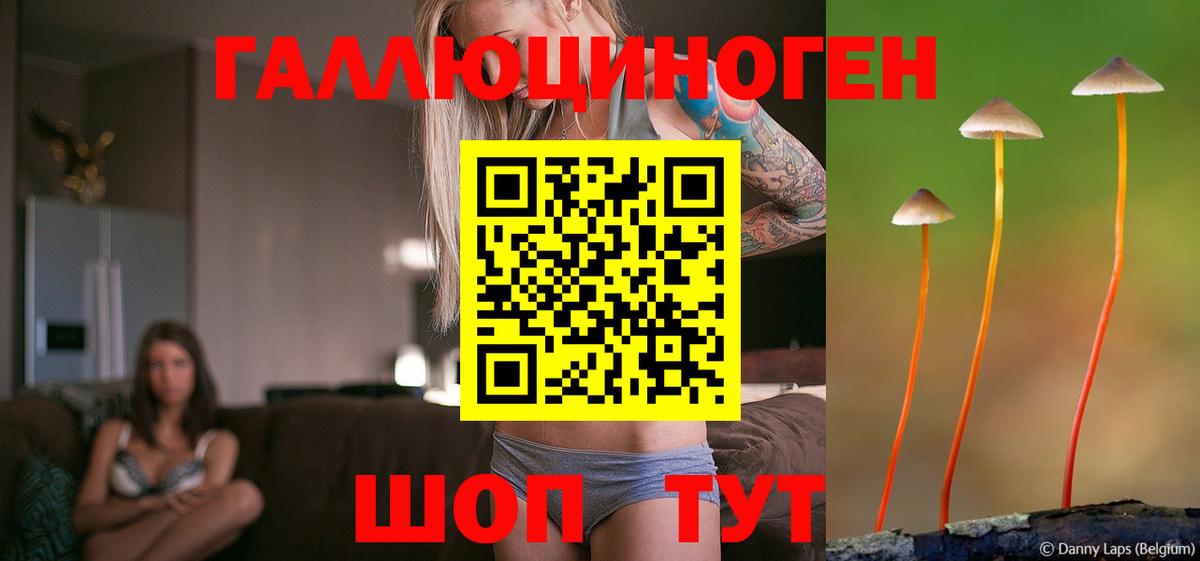 Галлюциногенные грибы прущие грибы Кубинка